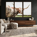 Texas Catle Longhorn Wall Art Canvas Print for Farmhouse by MyGreatCanvas | Canvas Wall Art Prints | Photo Prints & Wall Decor