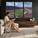 Georgia Bulldogs Stadium Wall Art Canvas Print, Sanford