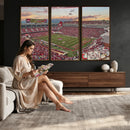 Donald W. Reynolds Razorback Stadium Wall Art Canvas Print –