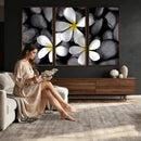 Plumeria Frangipani Black Stone Canvas | White Flower Spa by MyGreatCanvas | Canvas Wall Art Prints | Photo Prints & Wall Decor