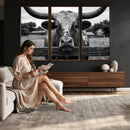 Black White Texas Longhorn Bull Canvas Wall Art, Western Ranch Cattle Photography Print, Rustic Farmhouse Cowboy Decor Artwork