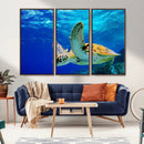 Sea Turtle Wall Art Canvas Print, Sea life in the Ocean Wall