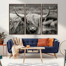 Cow Focus Canvas Wall Art Print by MyGreatCanvas | Canvas Wall Art Prints | Photo Prints & Wall Decor