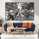 Trees Contemporary Art Canvas Print by MyGreatCanvas | Canvas Wall Art Prints | Photo Prints & Wall Decor
