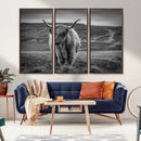Fluffy Cattle Wall Art Print, Highland Cow Canvas, Framed by MyGreatCanvas | Canvas Wall Art Prints | Photo Prints & Wall Decor