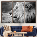 African Lion Wall Art Canvas Print – Majestic Wildlife
