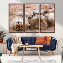 Lion Pair Wall Art Canvas Print – Framed Wildlife Scene with