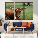 Longhorn Steer Canvas Wall Art – Rustic Nature Triptych