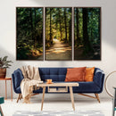 Sunlit Forest Pathway Canvas Print | 3 Panel Large Nature by MyGreatCanvas | Canvas Wall Art Prints | Photo Prints & Wall Decor
