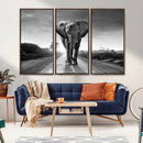 Black and White Elephant Wall Art Canvas Print