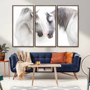 White Horse Wall Art Animal Canvas Print