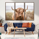 Scottish Serene Highland Cow Canvas Wall Art – Serene