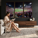 Washington-Grizzly Stadium Canvas Print, American Football