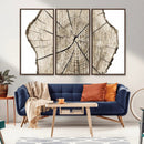 Abstract Wood Tree Ring Wall Art - Ready to Hang Minimalist