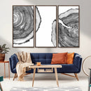 Abstract Large Tree Rings – Minimalist Black and White Wood