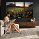 Oregon Stadium Canvas Wall Art - Captivating Game Day Scene