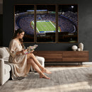 Buffalo Bills NFL Football Team Print - Highmark Stadium