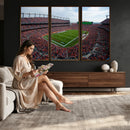 Denver Broncos Football Team Print - Empower Field Mile High