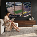 Michigan Wolverines Football Team Print - Ann Arbor Michigan