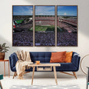 South Carolina Gamecocks Football Team Print - Columbia