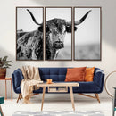 Texas Cow Longhorn Wall Art Canvas Print in Black and White