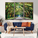 Serene Tree Tunnel Wall Art Canvas Print – Pathway Under