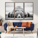 Resting Grizzly Bear Wall Art Canvas Print – Majestic Lazy by MyGreatCanvas | Canvas Wall Art Prints | Photo Prints & Wall Decor