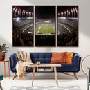 Eagles Field Stadium Wall Art - Philadelphia Eagles Football