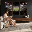Eagles Field Stadium Wall Art - Philadelphia Eagles Football