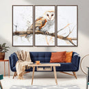 Barn Owl Wall Art on Branch | Stunning Canvas Print for