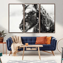 Framed Black and White Horse Wall Art | Ready to Hang and by MyGreatCanvas | Canvas Wall Art Prints | Photo Prints & Wall Decor