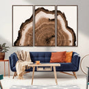 Rustic Wood Rings Wall Art | Nature-Inspired Tree Ring