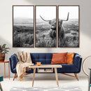 Scottish Highland Cow Wall Art | Black and White Canvas