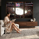 PNC Arena Raleigh North Carolina Hurricanes Hockey Stadium