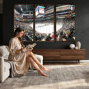 Xcel Energy Center St Paul Minnesota Wild Ice Hockey Stadium
