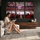 Carolina Hurricanes Ice Hockey Stadium Wall Art, Carolina