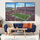 Florida Tampa Raymond James Stadium Wall Art Canvas Print -