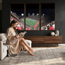 Houston Cougars Football Team Print - Houston TDECU Stadium