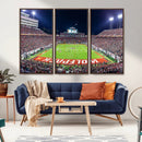Wolfpack Football Team Print - Raleigh Carter-Finley Stadium
