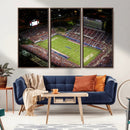 Florida Atlantic University Owls Canvas Print, Football Team by MyGreatCanvas | Canvas Wall Art Prints | Photo Prints & Wall Decor