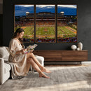 University of Illinois Fighting Illini Football Team Print -
