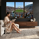 Michigan State Spartans Football Team Art Print - East