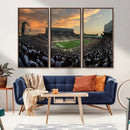 Michigan State Spartans Football Team Print - East Lansing
