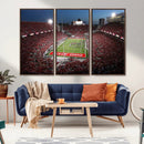 Ohio State University Buckeyes Football Team Print -