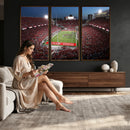 Ohio State University Buckeyes Football Team Print -