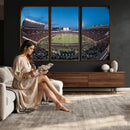 Texas Tech Red Raiders Canvas, Framed Football Team Print -