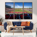 Ball State Cardinals Football Team Print - Muncie Scheumann