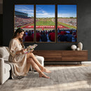 Ball State Cardinals Football Team Print - Muncie Scheumann