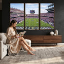 TCU Horned Frogs Football Team Print - Fort Worth Amon G.