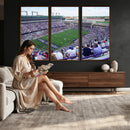 The Texas Christian University TCU Horned Frogs Football